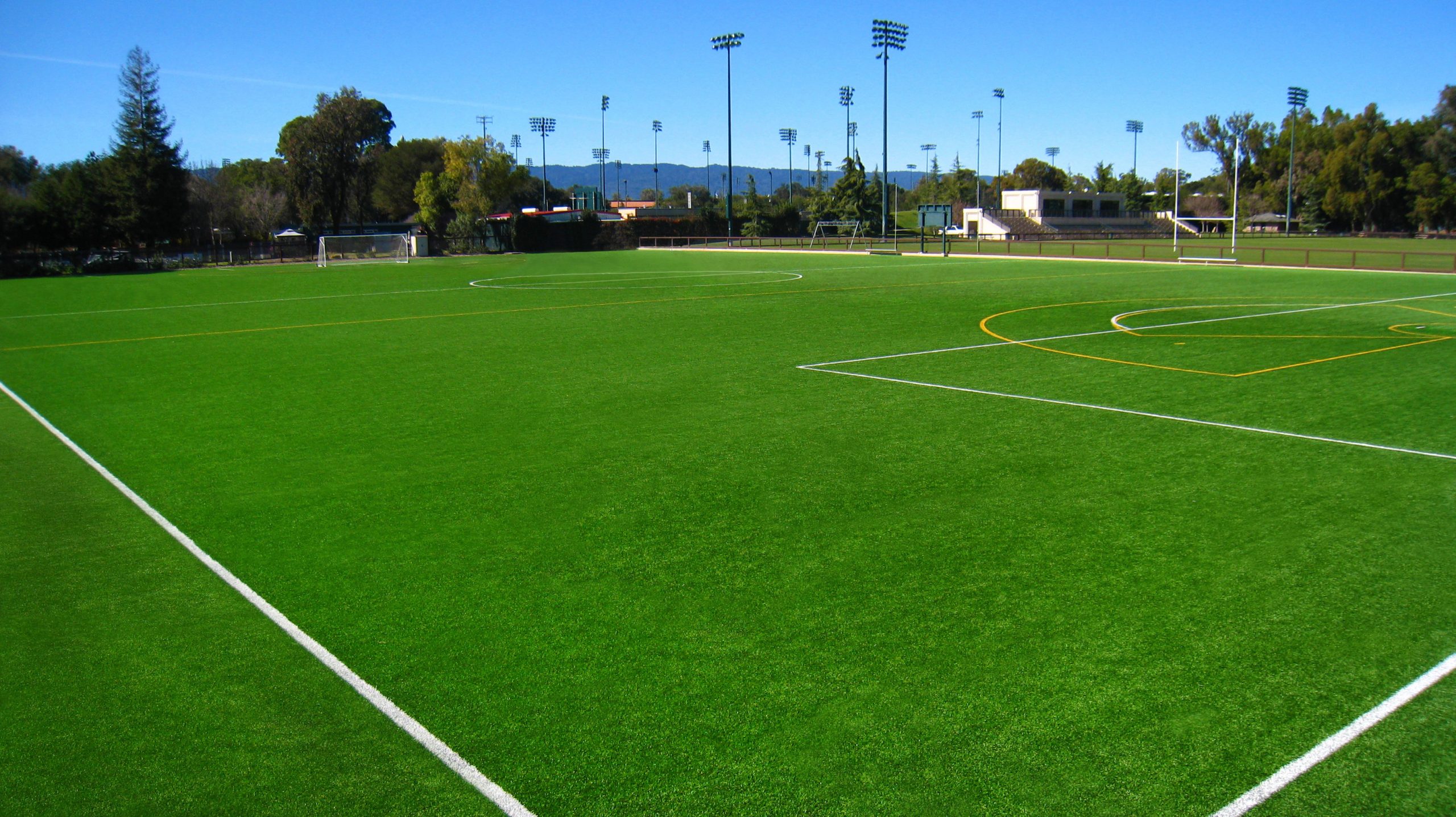 artificial cricket wicket