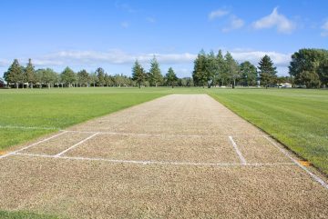 Artificial Cricket Wicket