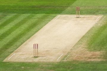 Artificial Cricket Wicket