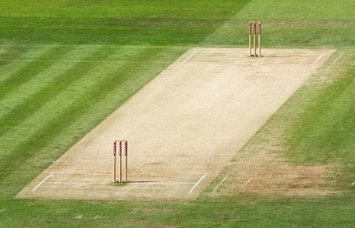 Artificial Cricket Wicket